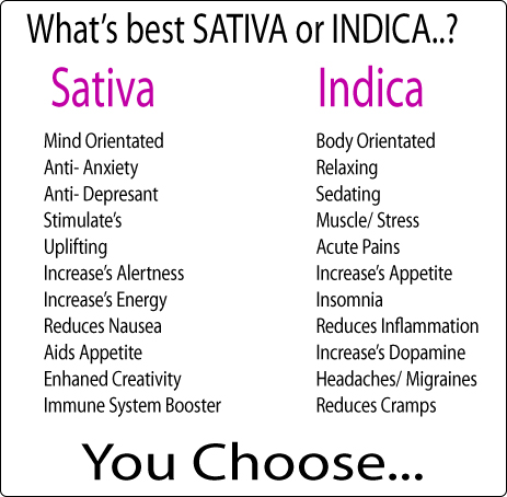 Sativa Indica Strain Chart